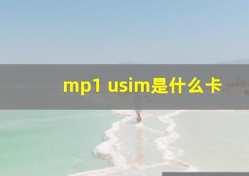 mp1 usim是什么卡